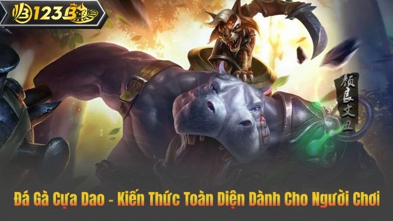 Đá Gà Cựa Dao – Kiến Thức Toàn Diện Dành Cho Người Chơi