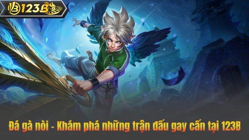 Đá gà nòi – Khám phá những trận đấu gay cấn tại 123B