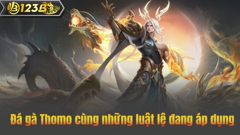 Đá gà Thomo cùng những luật lệ đang áp dụng