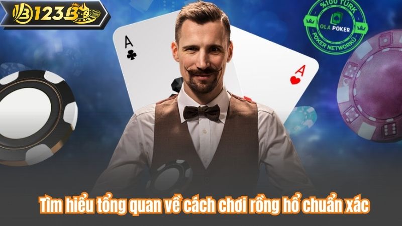 Tìm hiểu tổng quan về cách chơi rồng hổ chuẩn xác