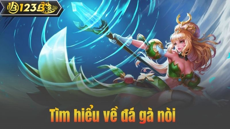 Tìm hiểu về đá gà nòi