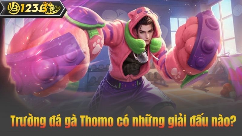 Trường đá gà Thomo có những giải đấu nào?